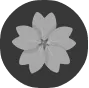 bloom-560m